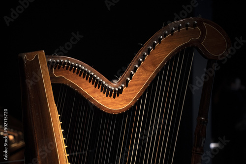 Fotografia, Obraz harp strings detail close up isolated on black