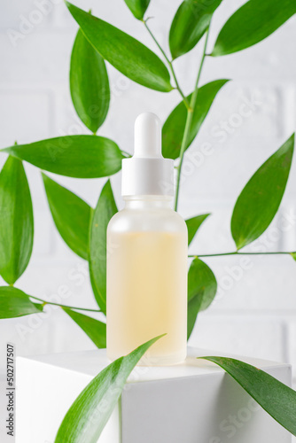 Frosted glass cosmetic bottle with a dropper on a white background on a podium and tropical leaves. Natural cosmetics concept, natural essential oil and skin care products