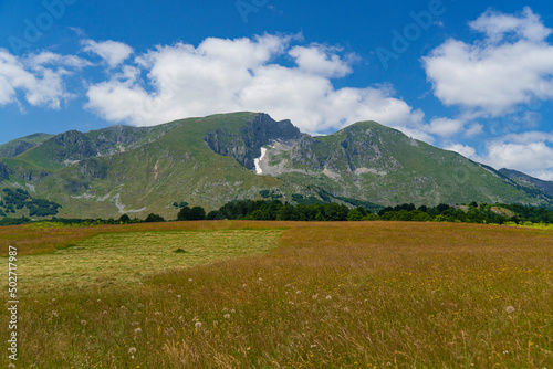 Montenegro. Durmitor National Park. Saddle Pass. Alpine meadows. Mountain landscape. Popular tourist spot