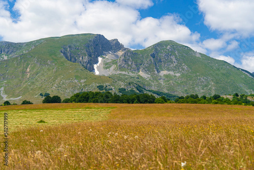 Montenegro. Durmitor National Park. Saddle Pass. Alpine meadows. Mountain landscape. Popular tourist spot