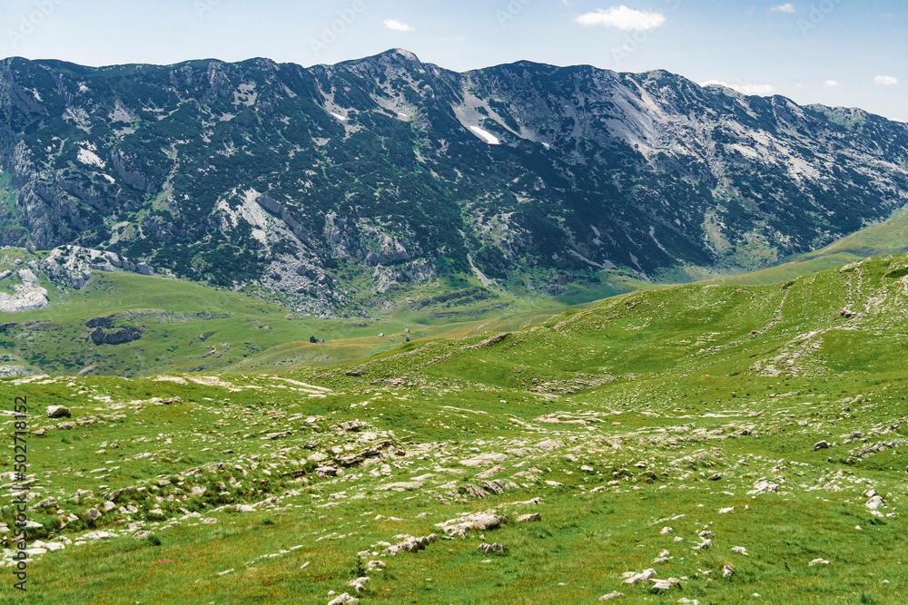 Montenegro. Durmitor National Park. Saddle Pass. Alpine meadows. Mountain landscape. Popular tourist spot