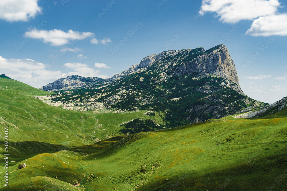 Montenegro. Durmitor National Park. Saddle Pass. Alpine meadows. Mountain landscape. Popular tourist spot