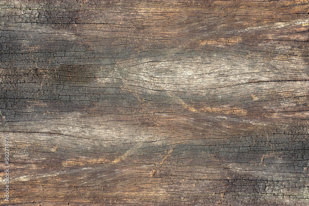 wood texture background surface with old natural pattern. wooden table top view wood texture background surface with old natural pattern. wooden table top view
