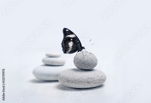 Canvas Print Butterfly on pebble Stones, abstract blurred light background