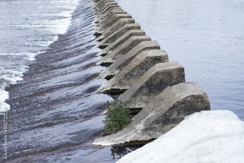 .concrete old dam on the river and a lonely plant on it