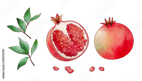 Watercolor pomegranate elements