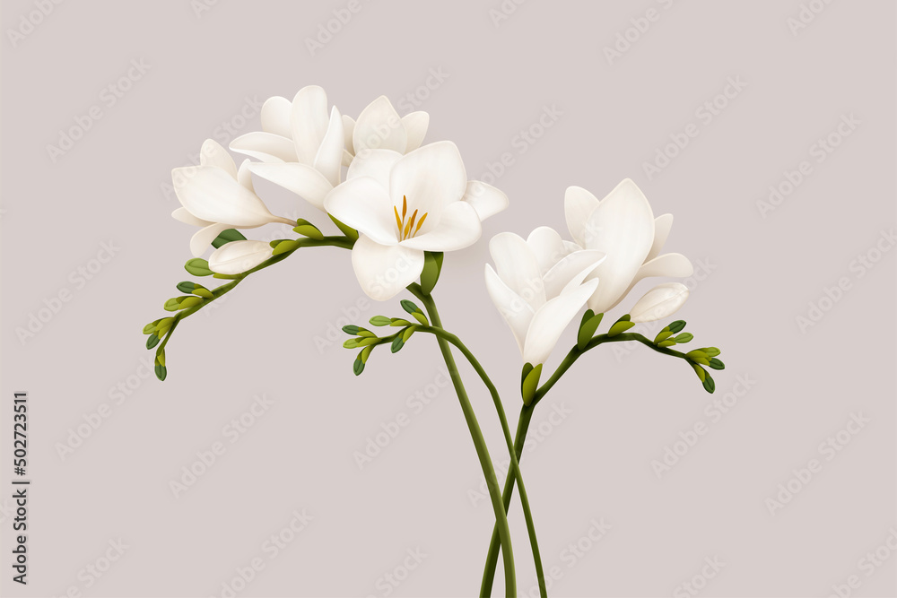 Fototapeta premium 3d beautiful freesia flowers