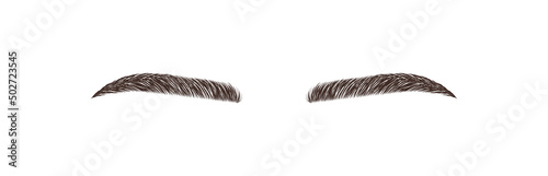 Elegant female eyebrows shape. Brow master logo. Permanent make-up and microblading. Linear vector Illustration in trendy minimalist style.