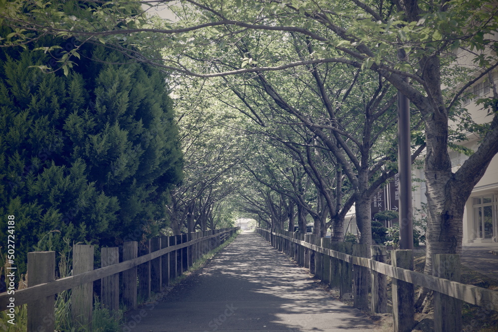 日本の岡山県倉敷市児島の風の道の美しい風景
