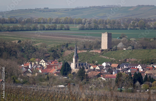 Schwabsburg mit Schlossturm photo