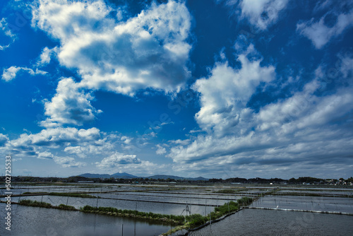 蓮根畑と筑波山 © Tsutomu