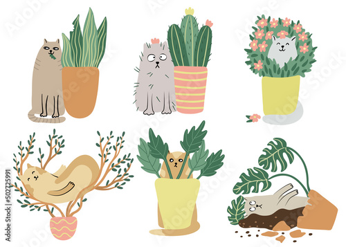 Cats and houseplants set. Hand drawn flat vector illustration isolated on white. Funny animal characters. Potted plants and pets.