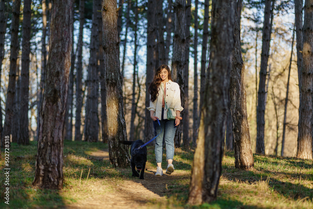 A smiling young attractive woman playing and walking with her Labrador puppy in a city park. The concept of pet and animal care.