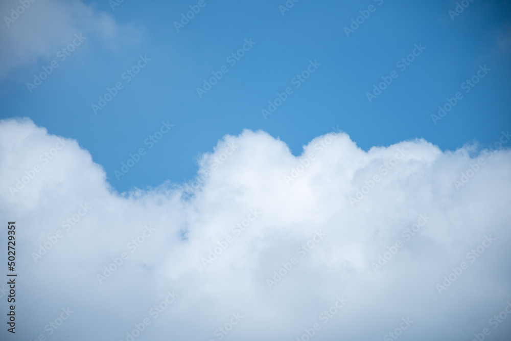 綿みたいな雲が浮かんでいました。 綿みたいな雲が浮かんでいました。