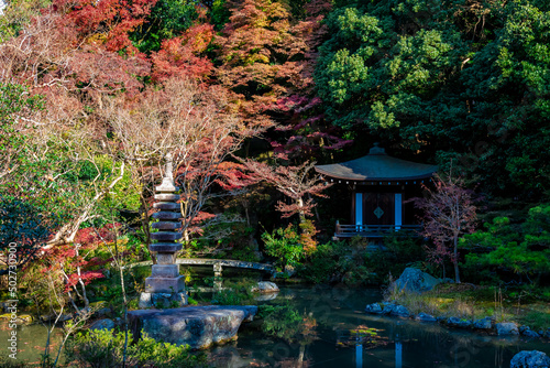 Fototapeta Naklejka Na Ścianę i Meble -  京都の毘沙門堂で見た、晩翠園の色鮮やかな紅葉