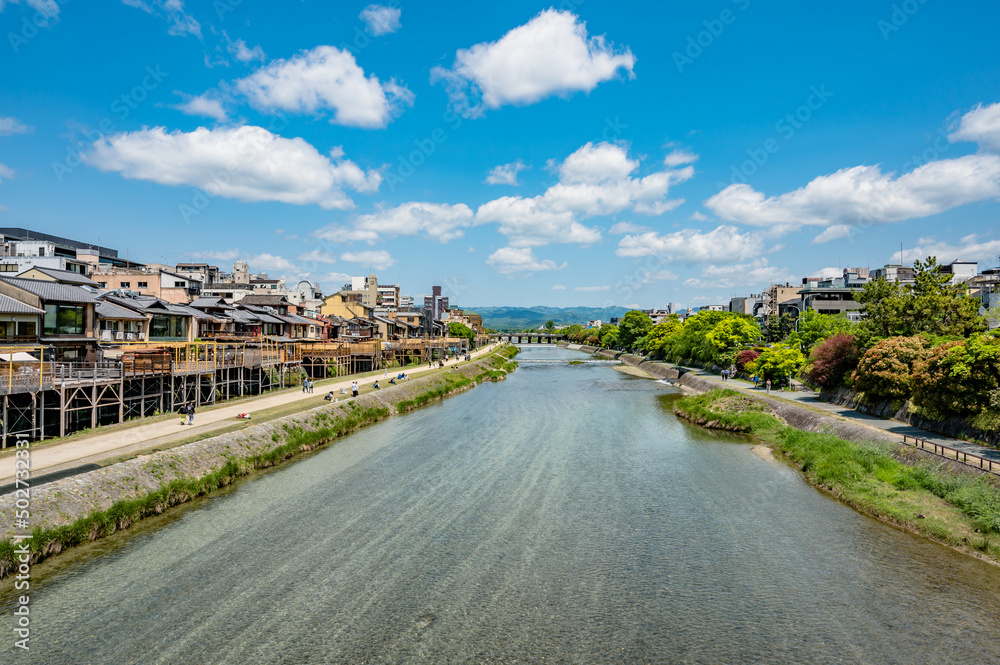 Fototapeta premium 新緑の京都鴨川