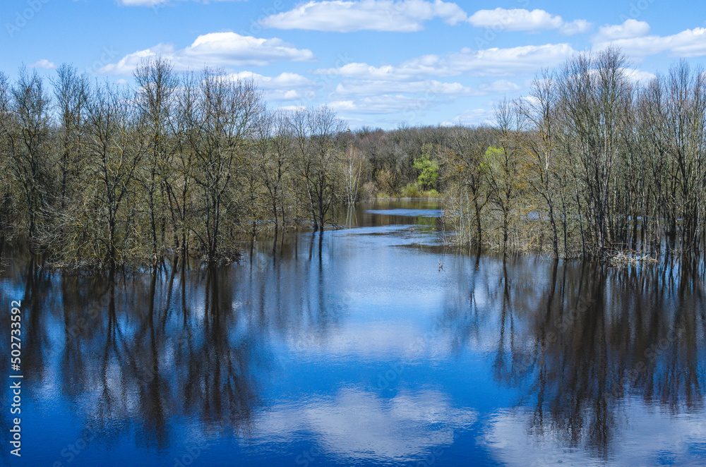 Spring landscape with a flooding river. Flooded trees stand in the water