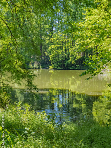 水辺の風景