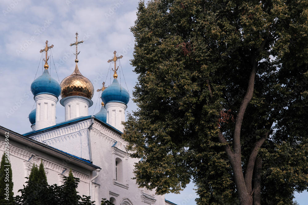 View of Pokrovsky cathedral on sunny summer day. Bryansk, Bryansk Oblast, Russia.
