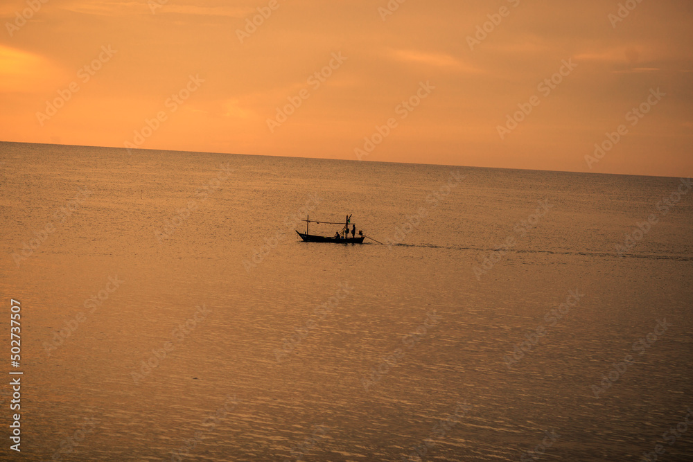 Natural background, evening light amidst swarms of gulls that are flying over the surface, fast and blurry, aesthetic changes of sky color, and habitat for poultry, with migration. Living