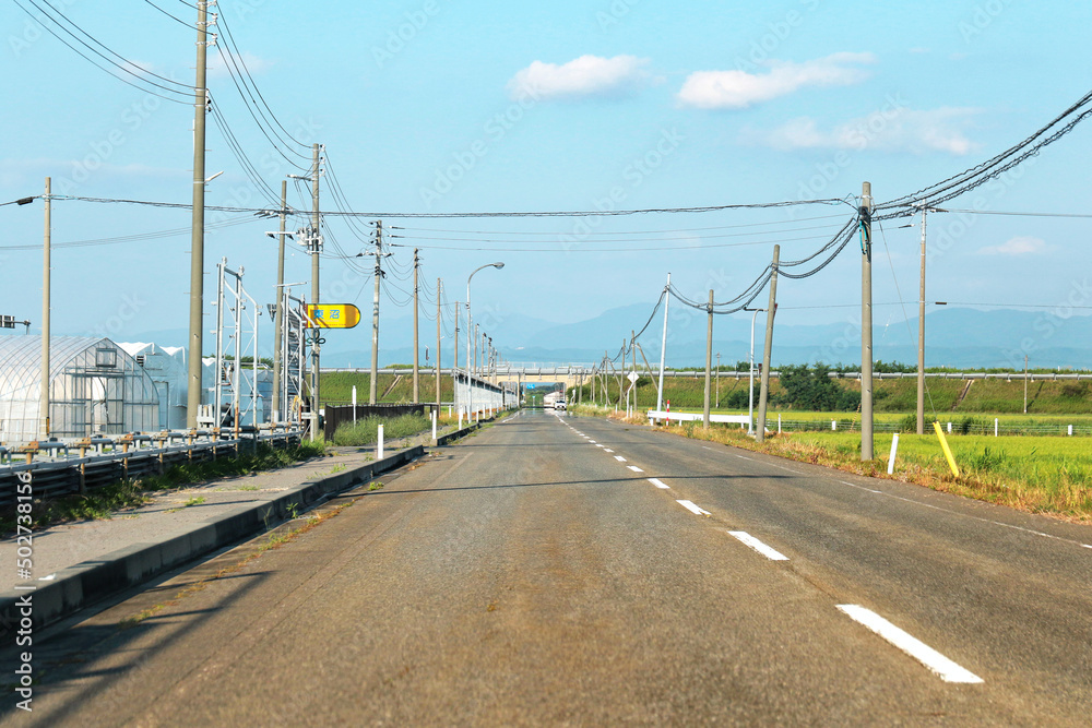 日本の夏の田んぼの田舎道