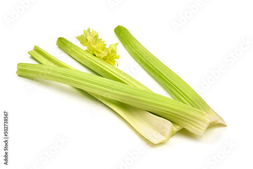 Fresh celery, isolated on white background. High resolution image.