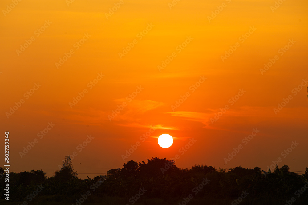 Sunset with beautiful orange evening sky and silhouette of trees