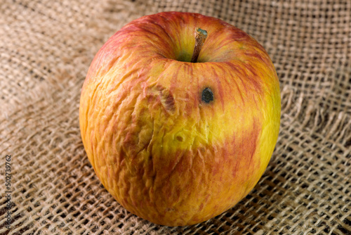 Spoiled shriveled rotten apple