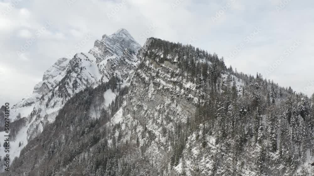Revealing pedestal up flight over a mountain chain of the Alps in winter. Rugged and snowy mountains with forests. Revealing pedestal up flight over a mountain chain of the Alps in winter. Rugged and snowy mountains with forests.