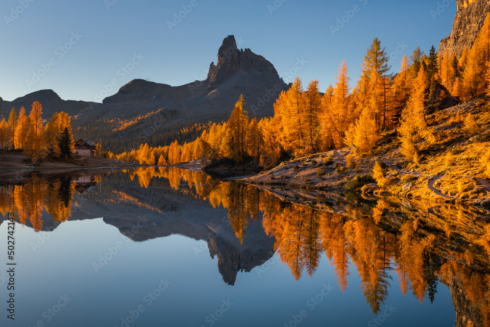 Fall sunrise on Lake Federa in the Italian Dolomites. Yellow larches create a unique atmosphere of this place.