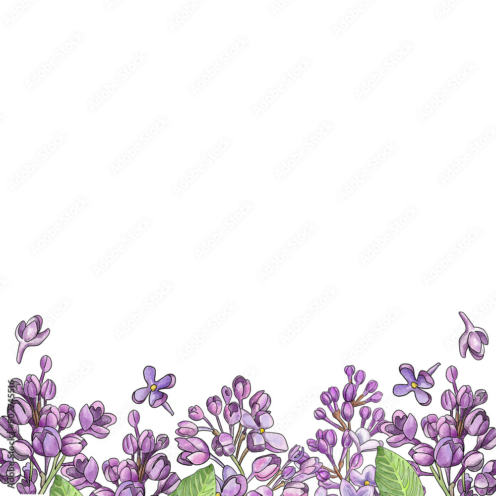 White square background with lilac branches. Handmade naturalistic drawing.