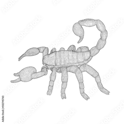 Scorpion wireframe from black lines isolated on white background. 3D. Vector illustration.