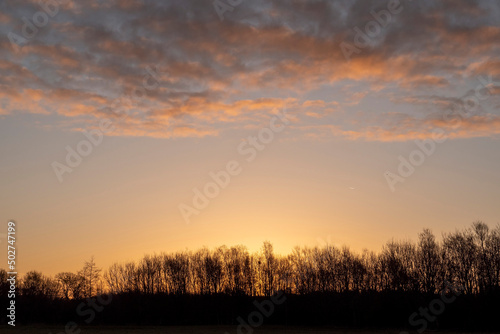 Silhouette of a trees in a park and stunning sunrise cloudy sky with rich, saturated colors. Warm orange and cool blue tone. Nobody. Calm and peaceful atmosphere.