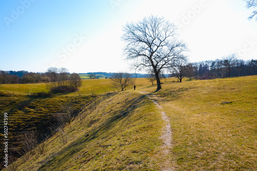 Landscape. A girl walks through a hilly area on a clear spring day. Spring, big tree, horses on the horizon.