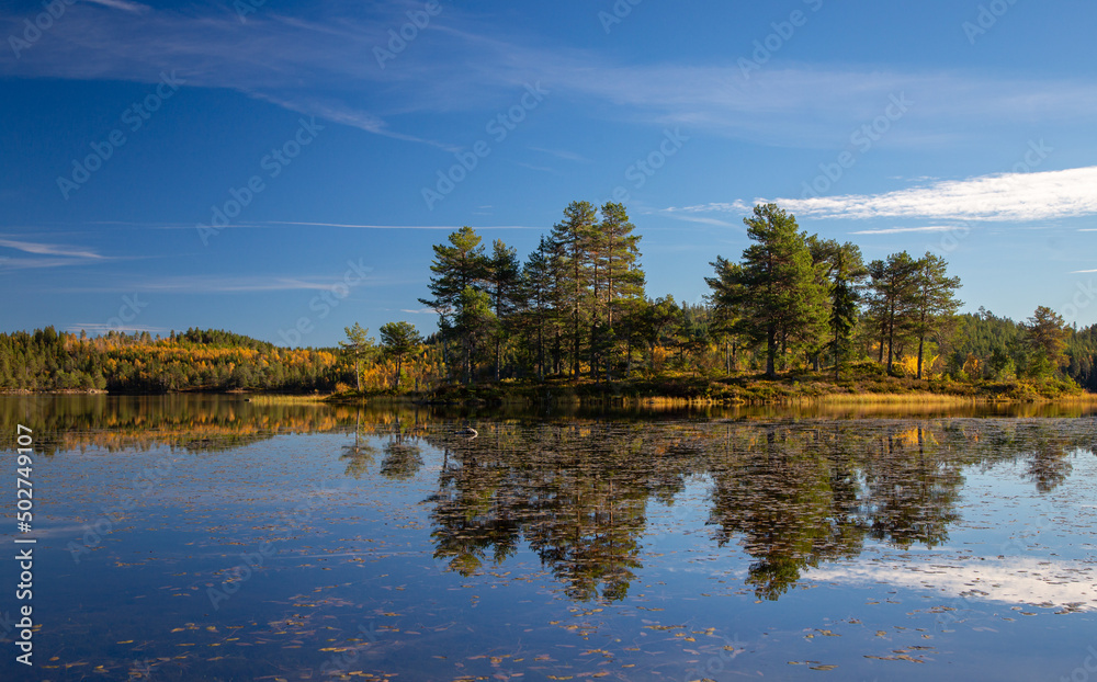 Sunny day by the lake in the forest of Bymarka.