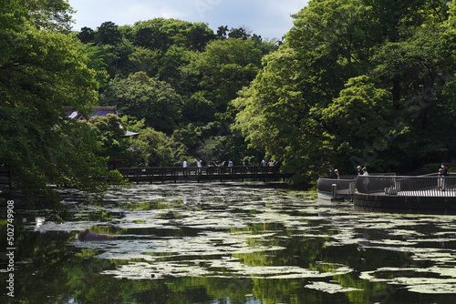 Park with pond and forest