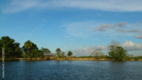 Indigenous Warao sytle hut on the river of Orinoco delta, Venezuela photo