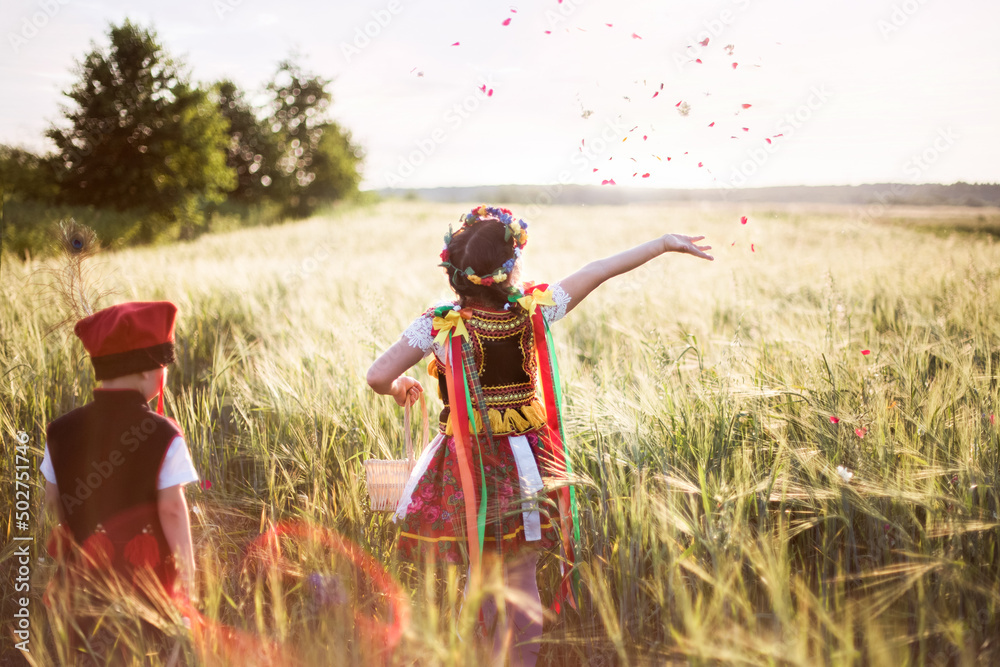 Dziewczynka ubrana w tradycyjny polski strój krakowianki sypie kwiatki i tańczy w zbożu - obrazy, fototapety, plakaty 