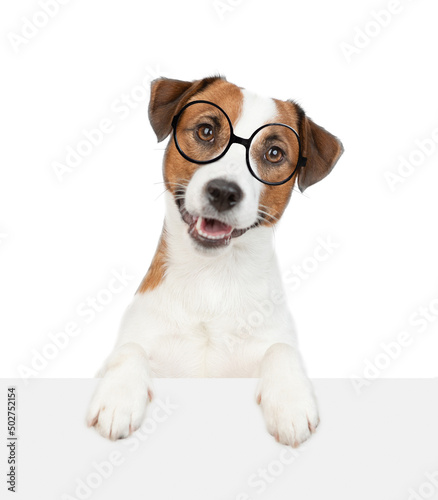 Smart Jack russell terrier puppy wearing eyeglasses looks above empty white banner. isolated on white background © Ermolaev Alexandr