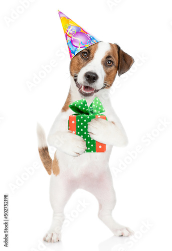  Jack russell terrier puppy wearing a party hat holds gift box. isolated on white background © Ermolaev Alexandr