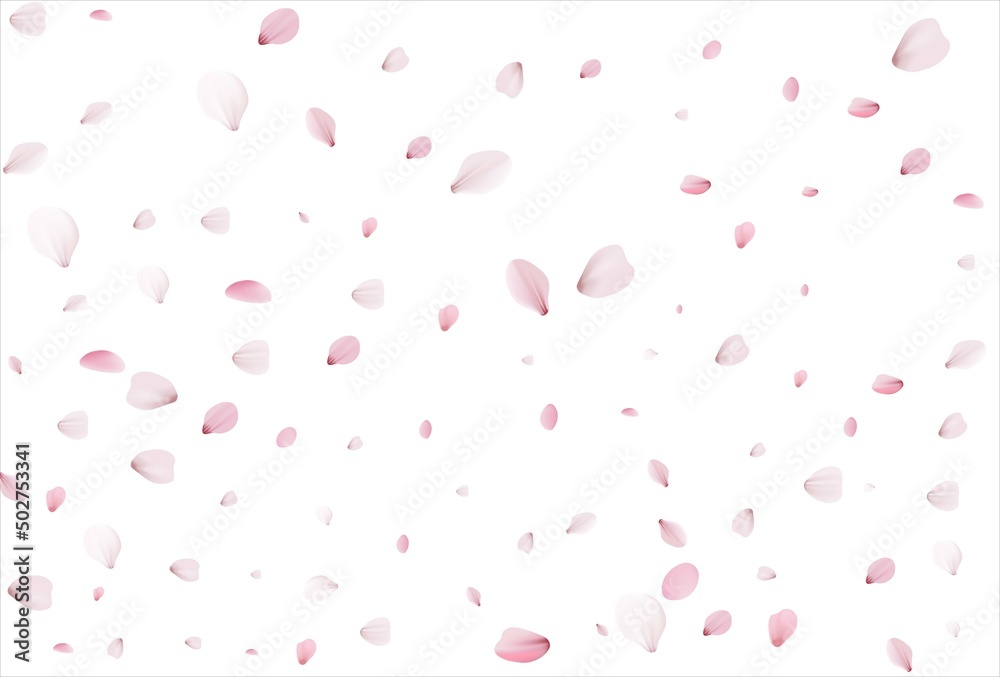 Sakura petals background. Cherry petals
