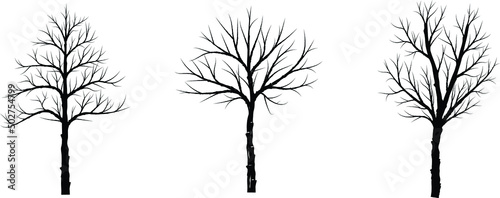 set of three silhouette tree trunk.