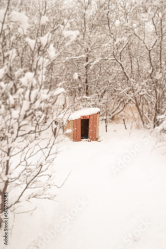 Dog House in the Snow in Lofoten norway © Jack