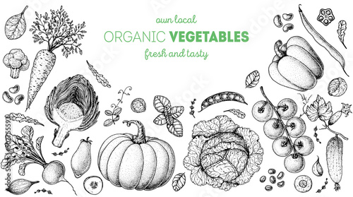 Vegetables hand drawn illustration. Top view frame. Vintage hand drawn. Organic food poster. Good nutrition, healthy food. Vector illustration. Carrot, artichoke, cabbage, pepper, tomato, pumpkin.