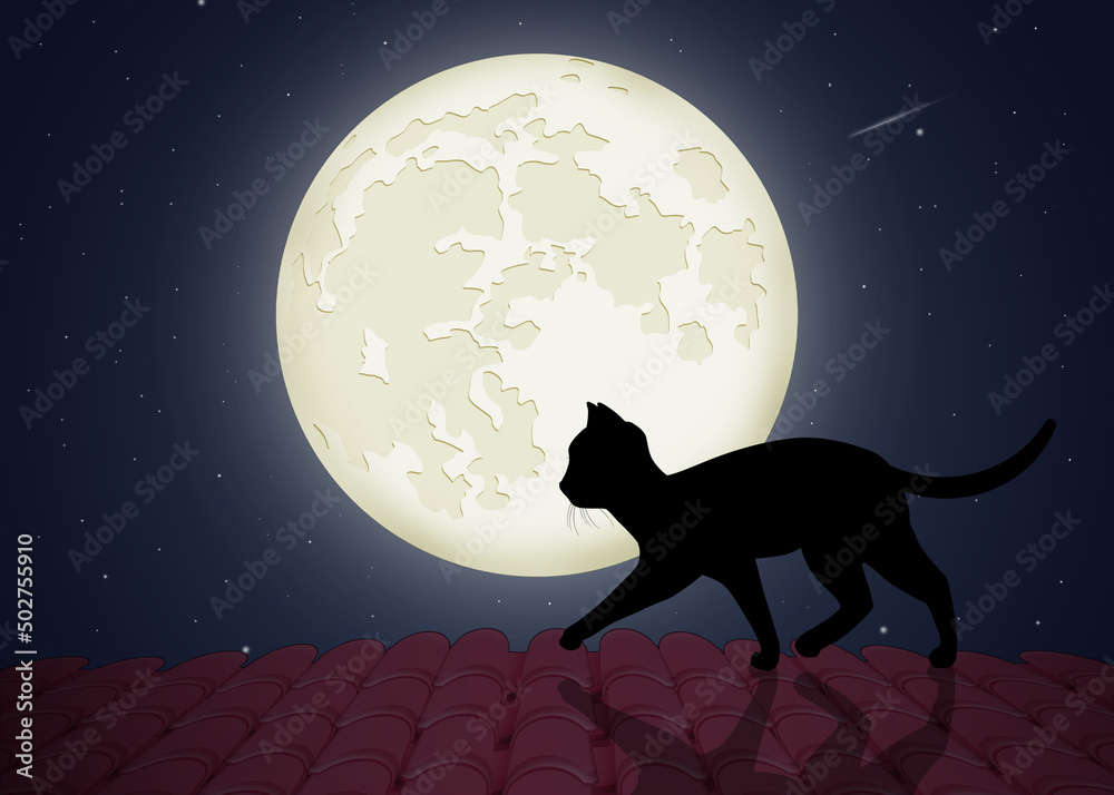 kitten walks on the roof in the moonlight