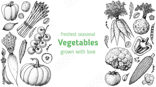 Vegetables hand drawn illustration. Top view frame. Vintage hand drawn sketch. Organic food poster. Good nutrition, healthy food. Vector illustration. Carrot, pumpkin, asparagus, okra, celery, corn