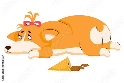 A girl dog of the corgi breed lies and looks sadly at the melted ice cream. Vector image.