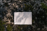 Wedding mockup greeting cards, top view, flatlay, stone and grass background, place for your text. For presentation your art, wedding greeting cards.