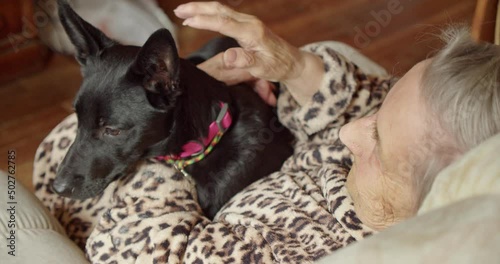 the dog is sitting on the lap of an elderly woman who is stroking her beloved pet. Caring for the elderly. Selfless love.