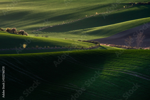 Beautiful green hills in spring